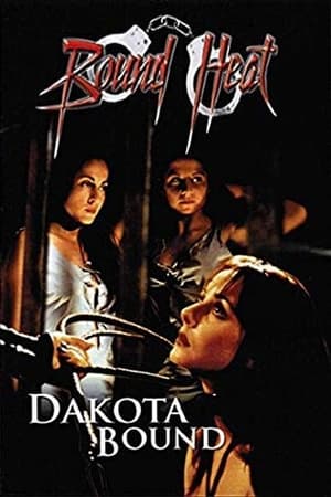 Poster Dakota Bound (2001)