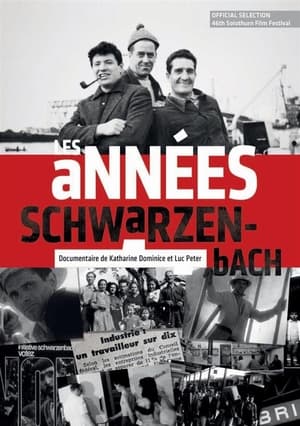 Image Les années Schwarzenbach