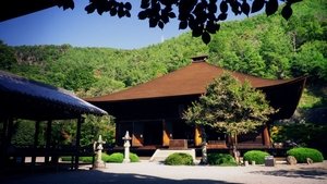 Journeys in Japan: 11×22