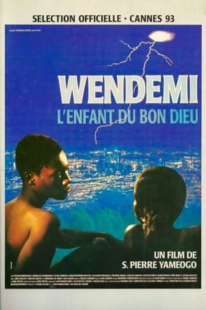 Poster Wendemi, l'enfant du Bon Dieu 1993