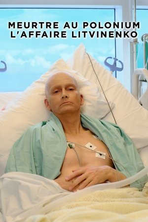 Meurtre au Polonium - L'affaire Litvinenko movie poster