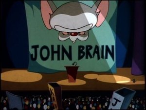 Animaniacs Meet John Brain