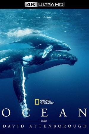 poster Ocean with David Attenborough