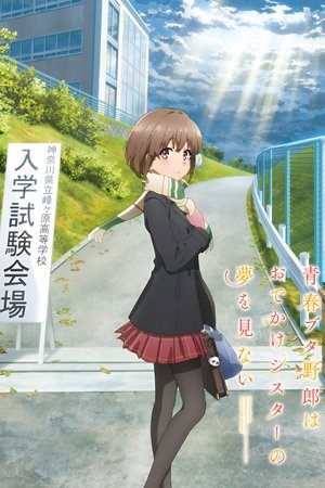 Image 青春ブタ野郎はおでかけシスターの夢を見ない