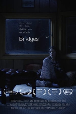 Image Bridges