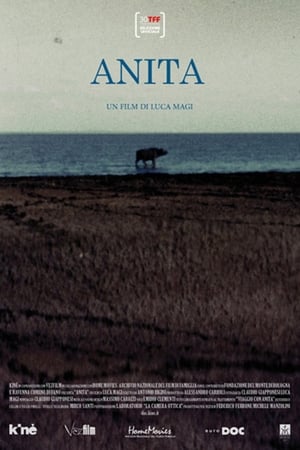 Anita (2012)