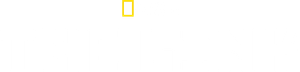 The Link