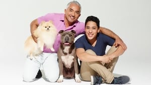 Cesar Millan’s Dog Nation