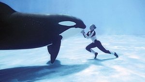 Blackfish: Der Killerwal