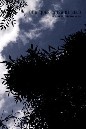 Glimpses of Beauty 2