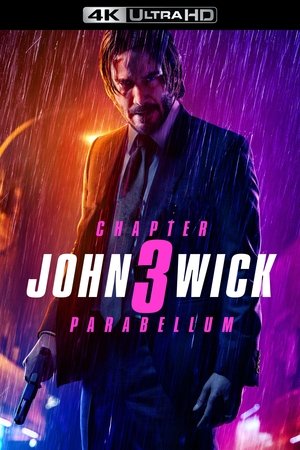 poster John Wick: Chapter 3 - Parabellum