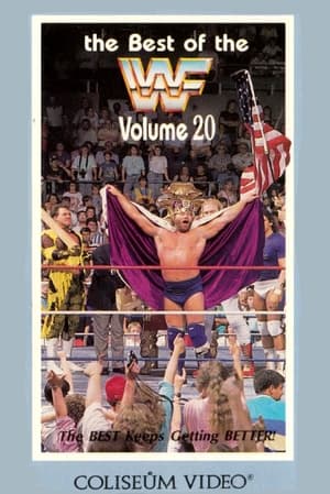 Poster The Best of the WWF: volume 20 (1989)