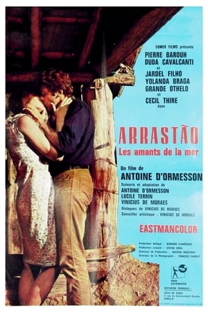 Arrastão poster