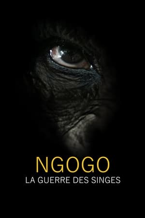 Image Ngogo : la guerre des singes