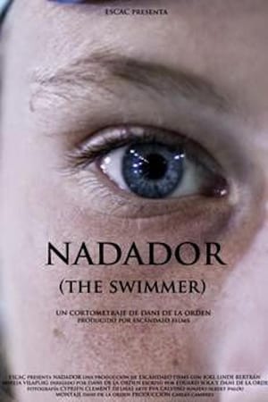 Poster Nadador 2013