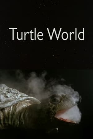 Poster Turtle World (1997)