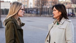 Law & Order: Special Victims Unit Season 19 Episode 19