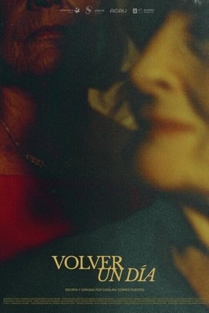 Volver un día (2024)