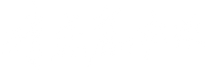 My Dearest Stranger — Logos 1