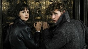 Fantastik Canavarlar: Grindelwald’ın Suçları