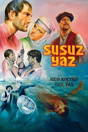 Poster Susuz Yaz 1963