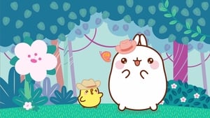 Molang: 4×12