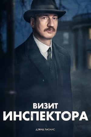 Image Визит инспектора