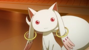 Puella Magi Madoka Magica: 1×2