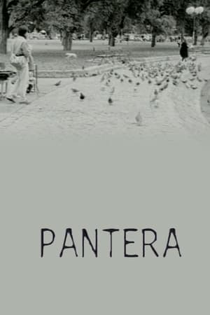 Poster Pantera (1998)