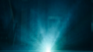 The Abnormal Beauty Company