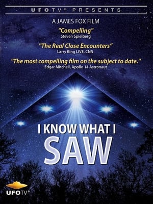 I Know What I Saw poster