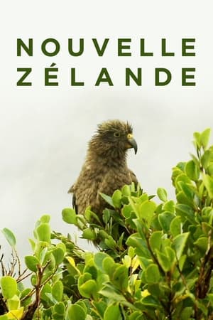 Image Nouvelle-Zélande : La Reconquête Maorie