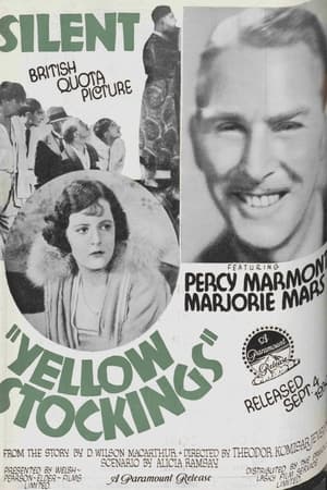 Poster Yellow Stockings (1928)