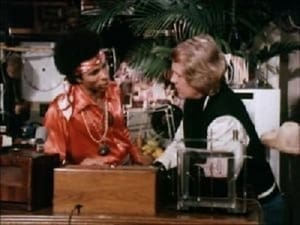 Starsky & Hutch 3 – Episodio 22