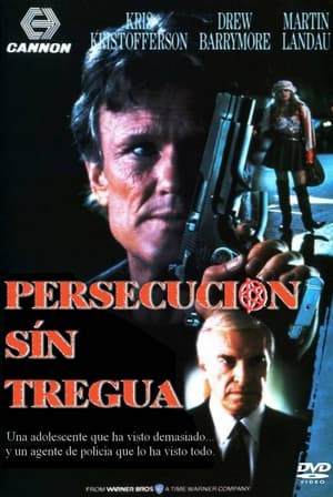 Poster Persecución sin tregua 1992