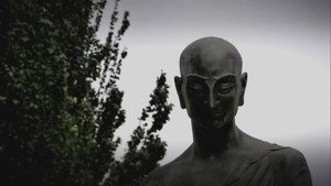 Road of Millennia Bodhi