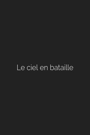 Le ciel en bataille (2011)