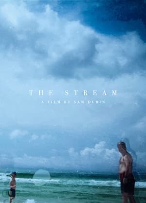 Poster di The Stream