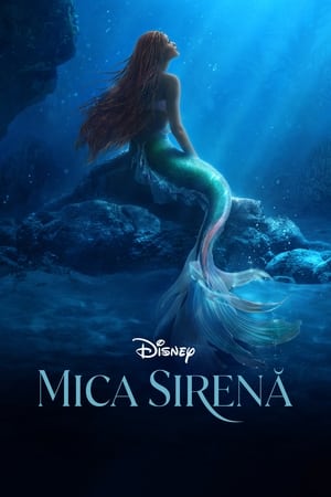 Poster Mica sirenă 2023