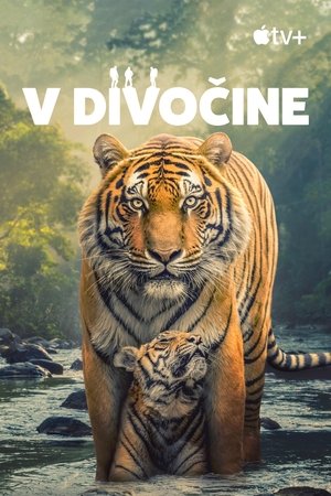 Image V divočine