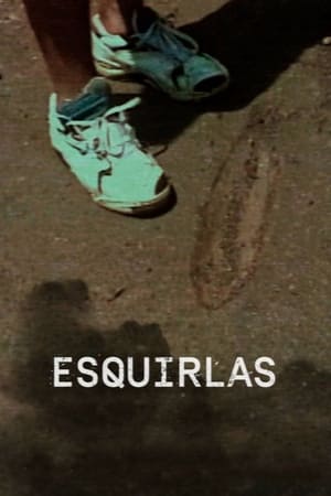 Image Esquirlas