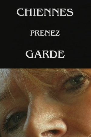 Poster Chiennes, prenez garde ! (1999)