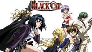 poster Black Cat