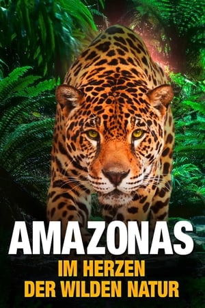 Poster AMAZON 3D 2013