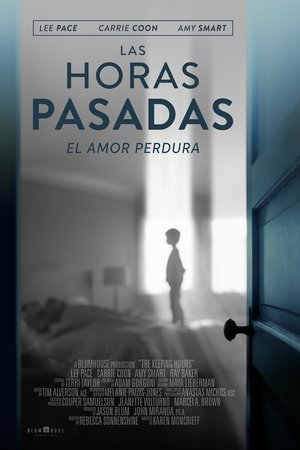 Watch Las horas pasadas (2017) HD Movie Online Free