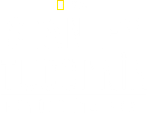 Tucci en Italia — Logos 4