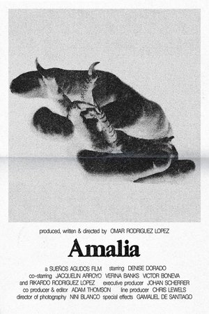 Image Amalia