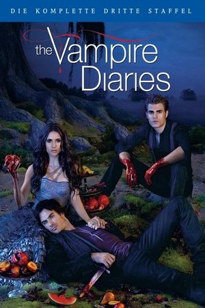 Vampire Diaries: Staffel 3