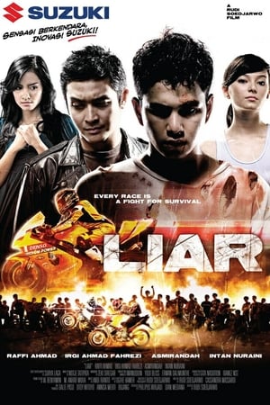 Poster Liar (2008)