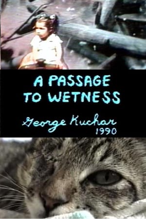 Poster A Passage to Wetness (1990)